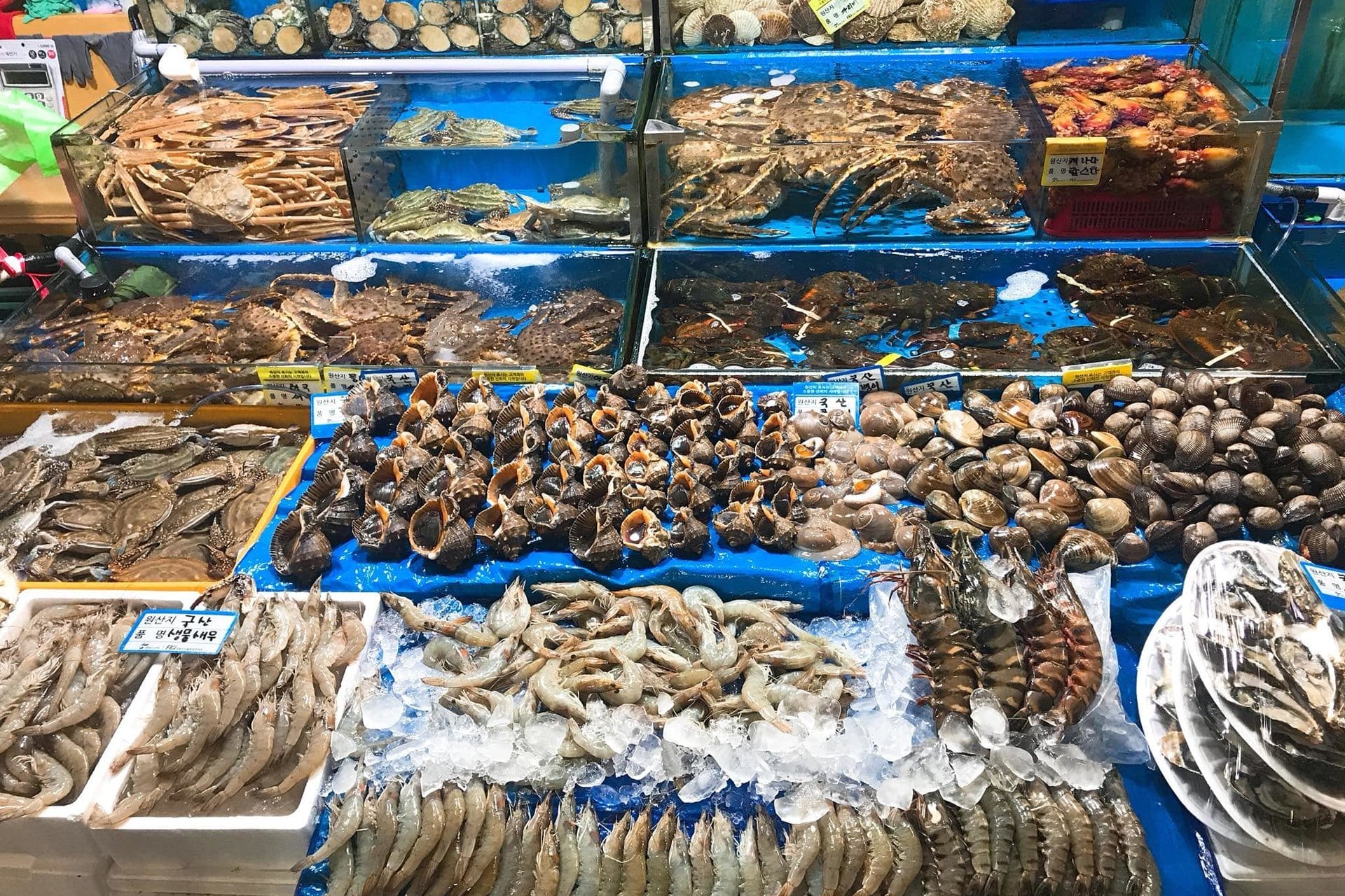 Top 11 Chợ hải sản Đà Nẵng tươi ngon, giá rẻ