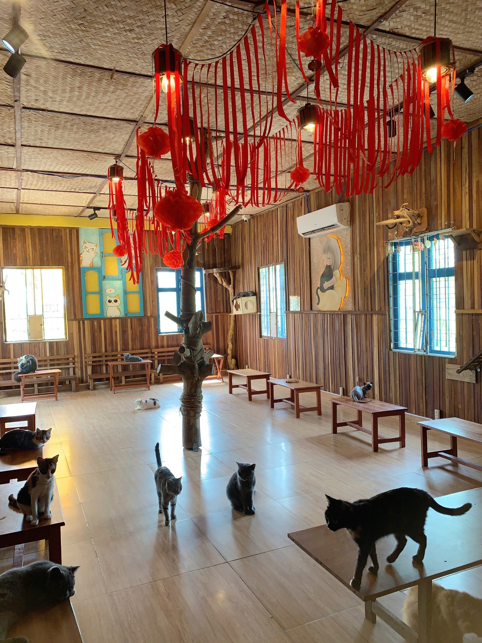 quán cafe thú cưng Đà Nẵng