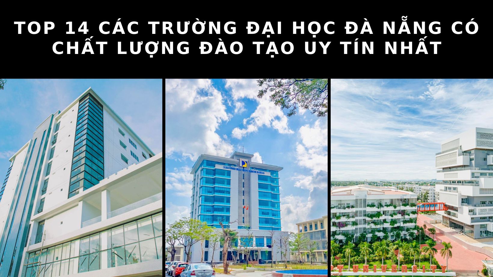 Top 14 các trường đại học Đà Nẵng đạt chuẩn chất lượng đào tạo hàng đầu