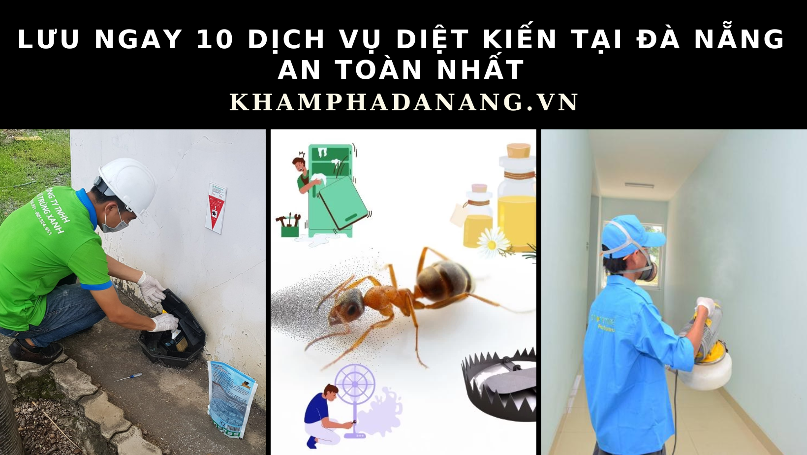 Lưu ngay 10 dịch vụ diệt kiến tại Đà Nẵng an toàn nhất