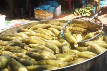 Bắp Cẩm Nam