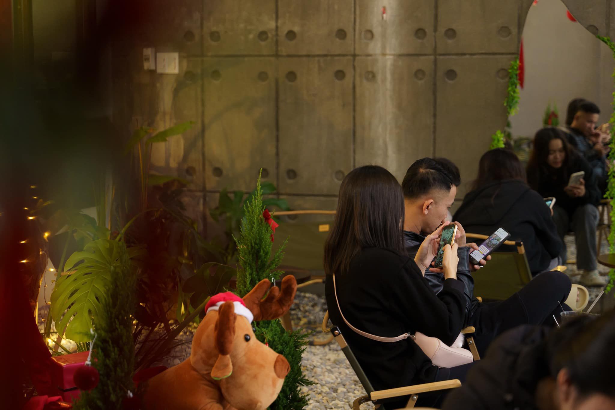 lofi garden9 1af09e37