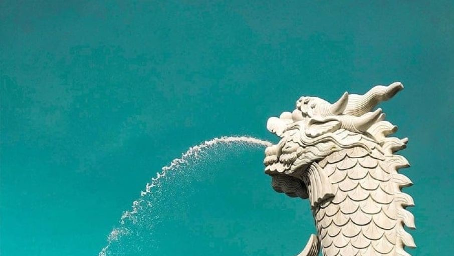 tuong ca chep hoa rong 1b6351be