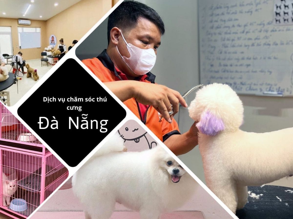 dich vu cham soc thu cung tai da nang 12 30d826fd