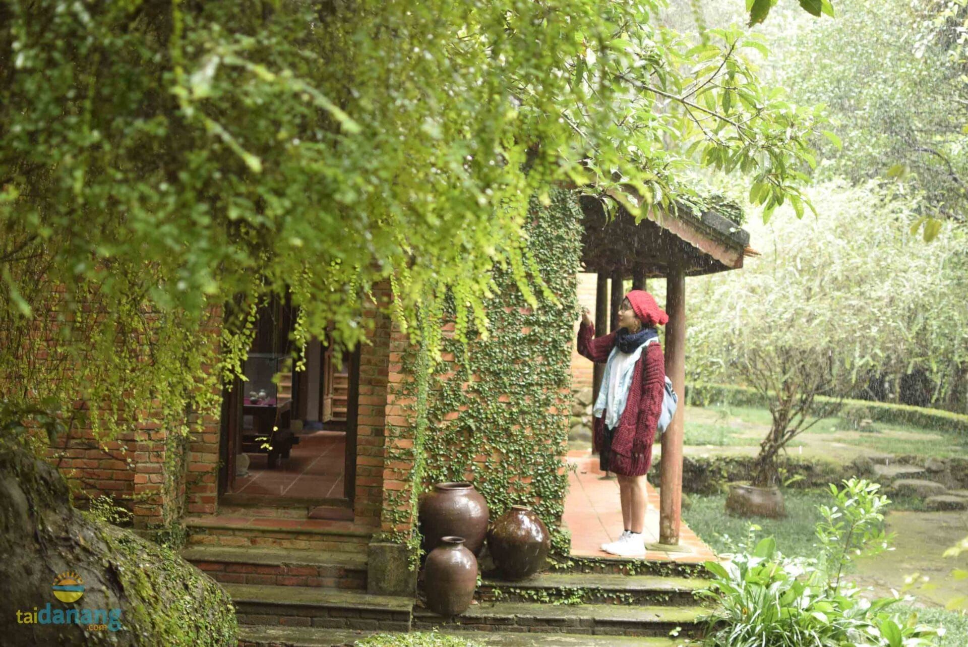 bao tang dong dinh 4 scaled 32220017