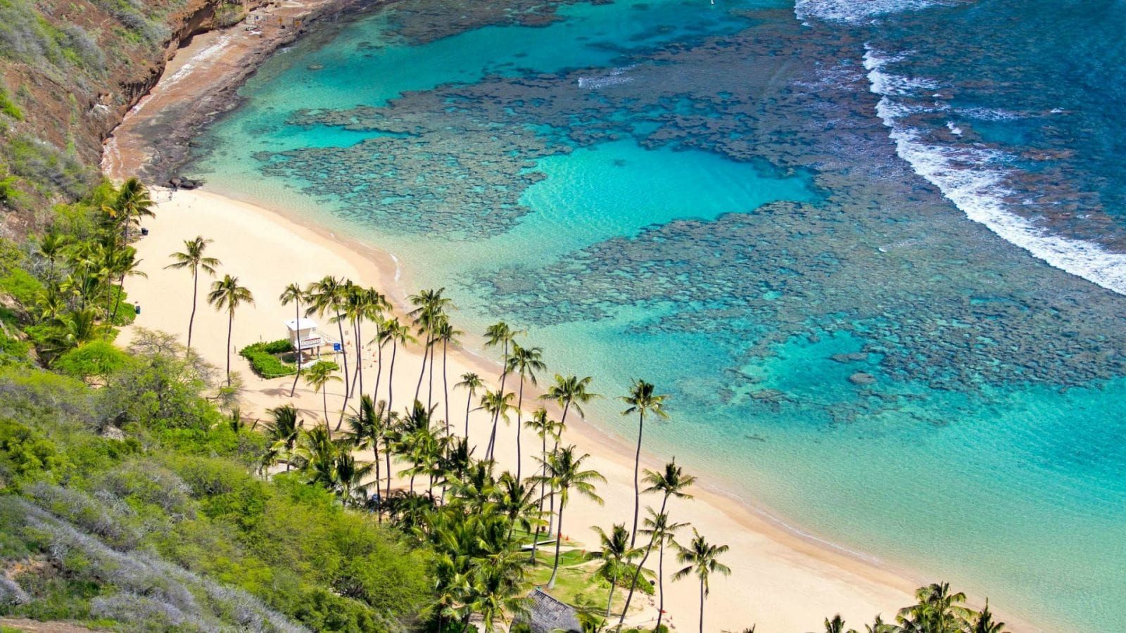 cu lao cham 2 36c72124