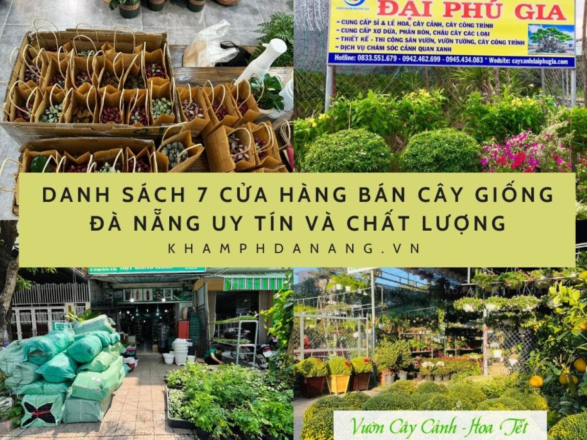 Xanh la Anh Ban be Anh ghep Ngoai troi Bai dang Facebook 6 4737b4d5