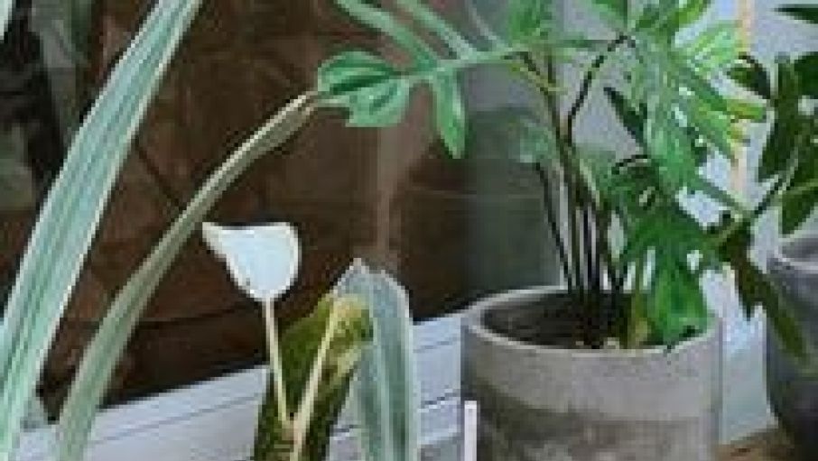 Ca Noc Cafe 7 57802d23