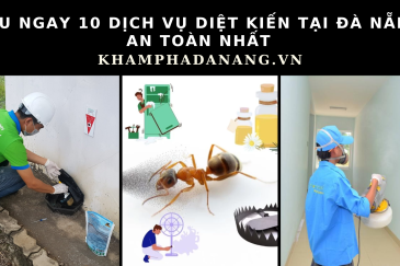 dịch vụ diệt kiến tại Đà Nẵng