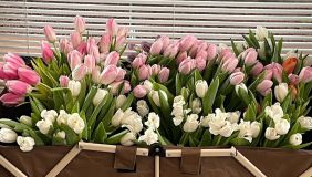 dau ngot ca phe 59691592