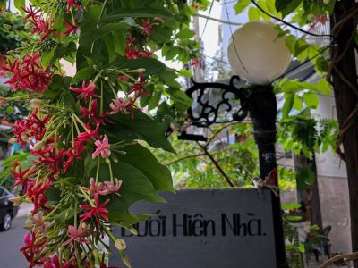 duoi hien nha 1 5dd1015f