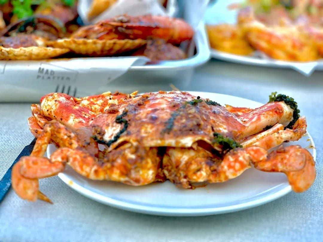 mad platter6 7950cc5a