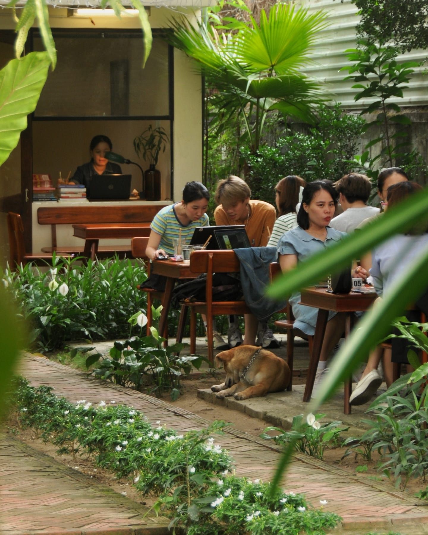 roost roasters4 8d99bb11