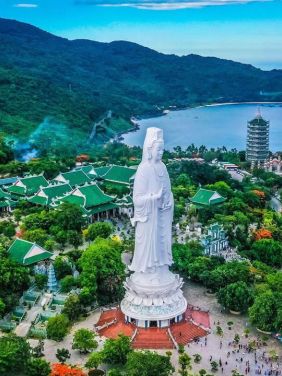 ban dao son tra co gi 8e60004e