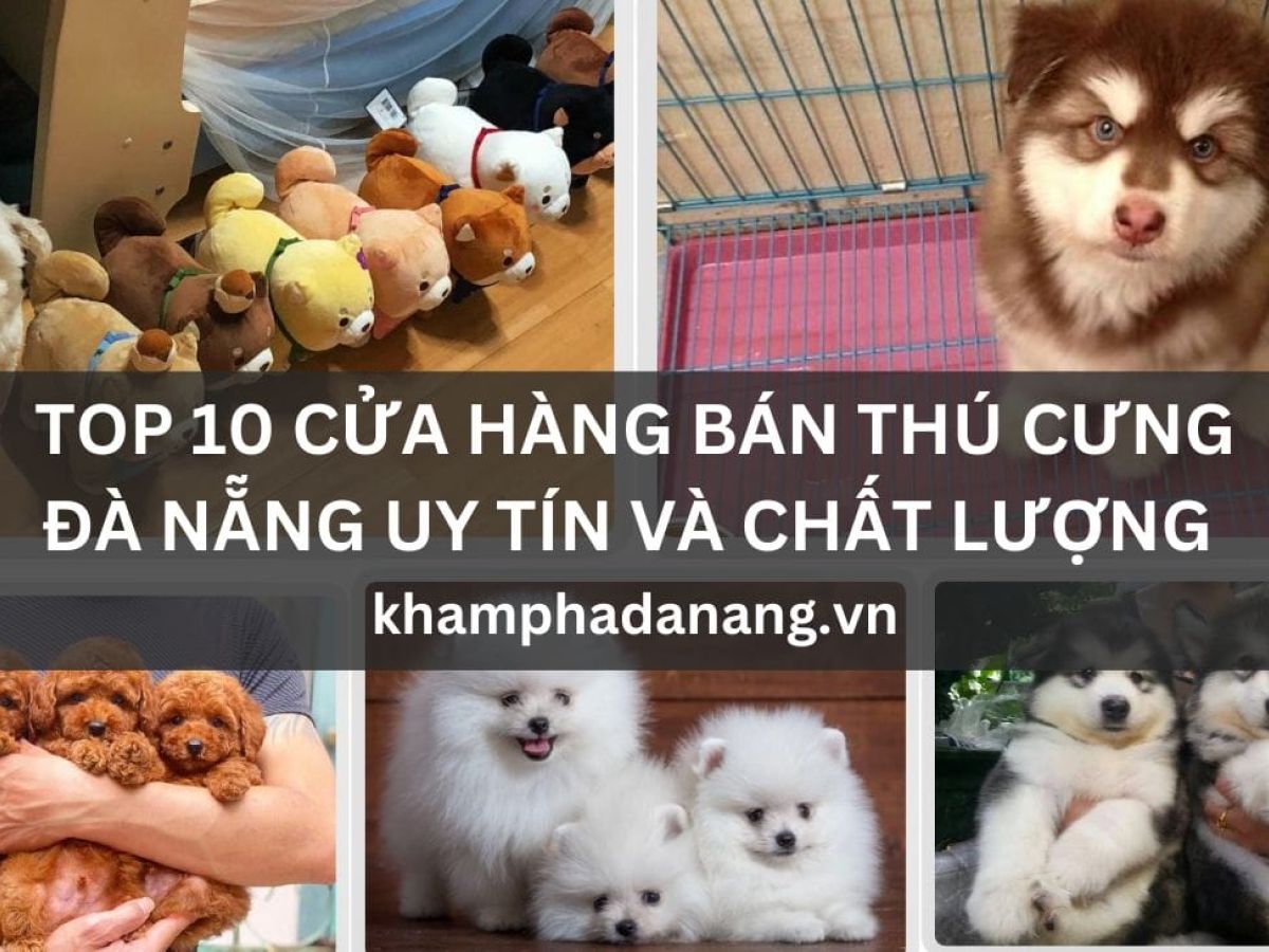 TOP 10 CUA HANG BAN THU CUNG DA NANG UY TIN VA CHAT LUONG 982a7eed
