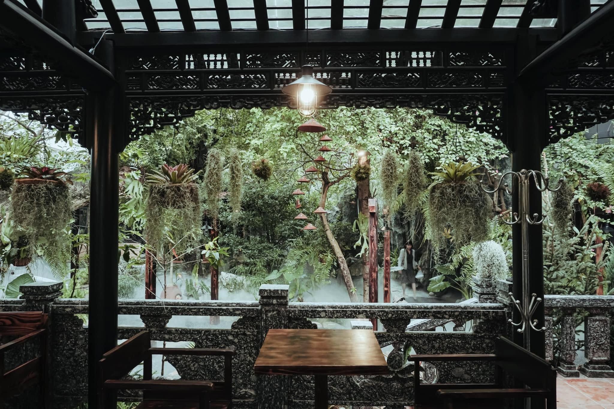 34 tropical4 a21d3771