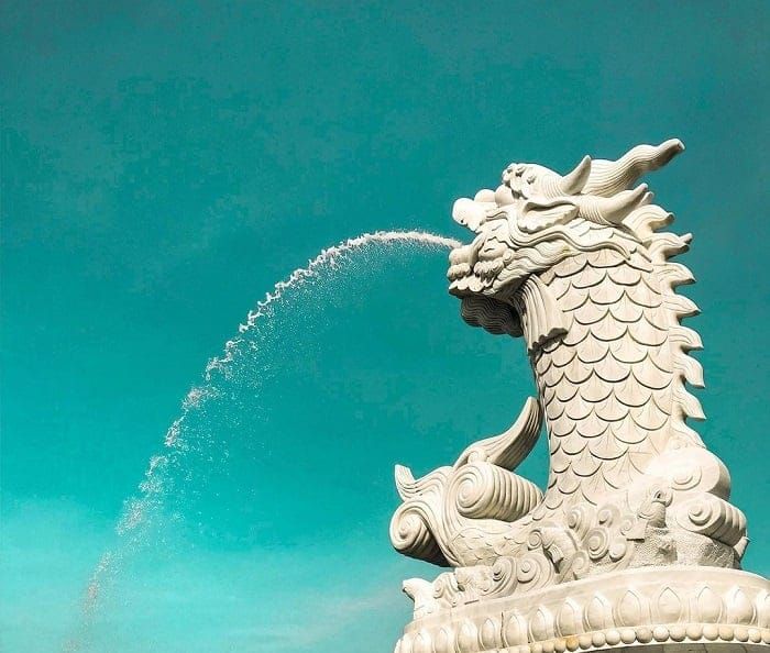 tuong ca chep hoa rong b318028e