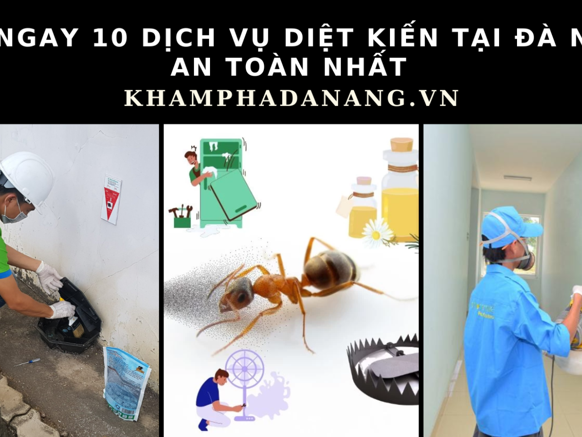 dich vu diet kien tai da nang c4286b24