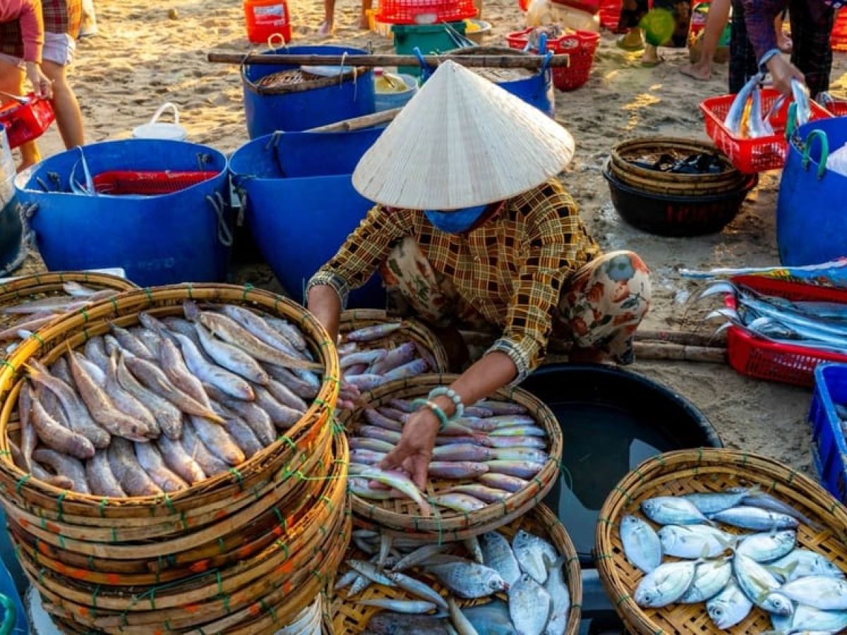 hai san tam thanh 12 c9df8dca