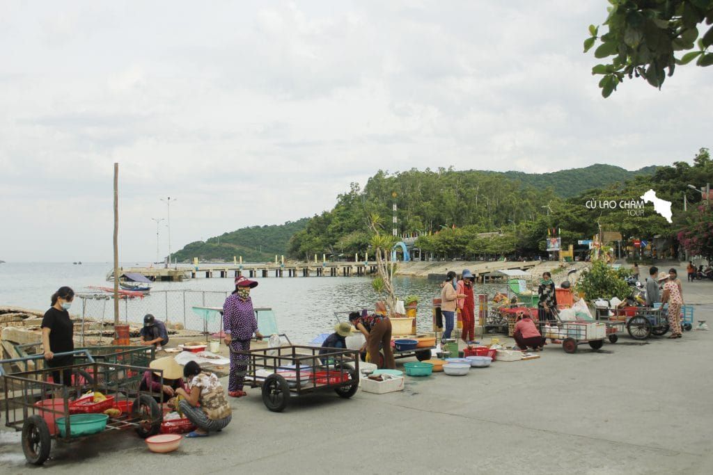 cu lao cham 5 ce2552bf