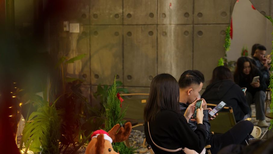 lofi garden9 d34c4c29