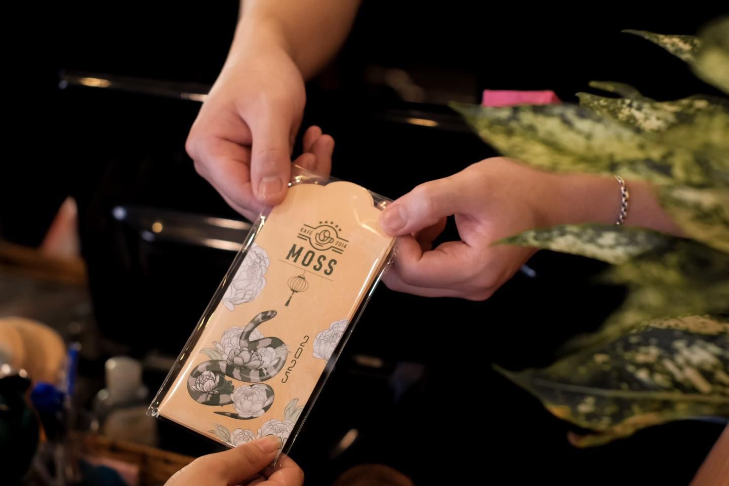 moss coffee1 d8744048