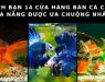 cua hang ban ca canh Da Nang 14 dc162a7a