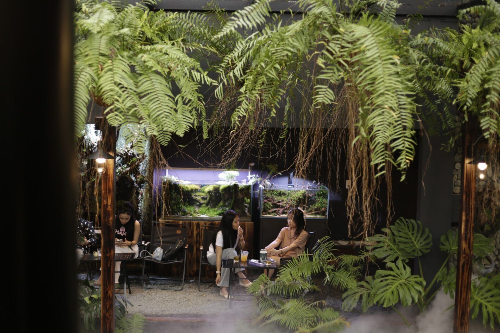 34 tropical1 df6e9842