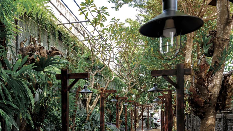 34 tropical9 e200a77b