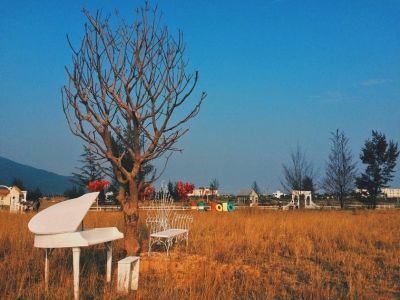 thuan phuoc field 3 e3308f53