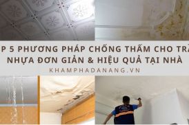 Tran nhua chong moc 12 1 e4f483c7