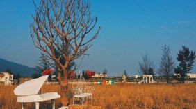 thuan phuoc field 3 ec18e15e