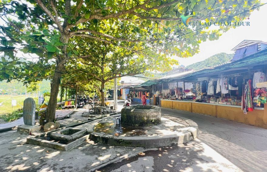 cu lao cham 4 edcac790