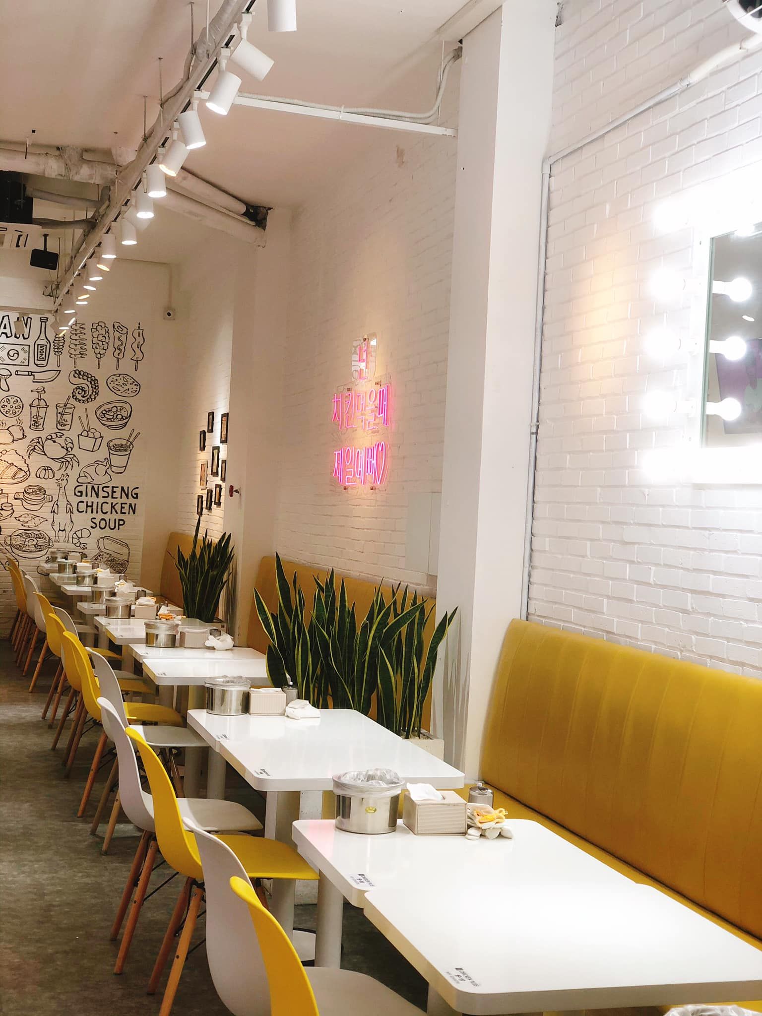 chicken plus4 f72e4bc5