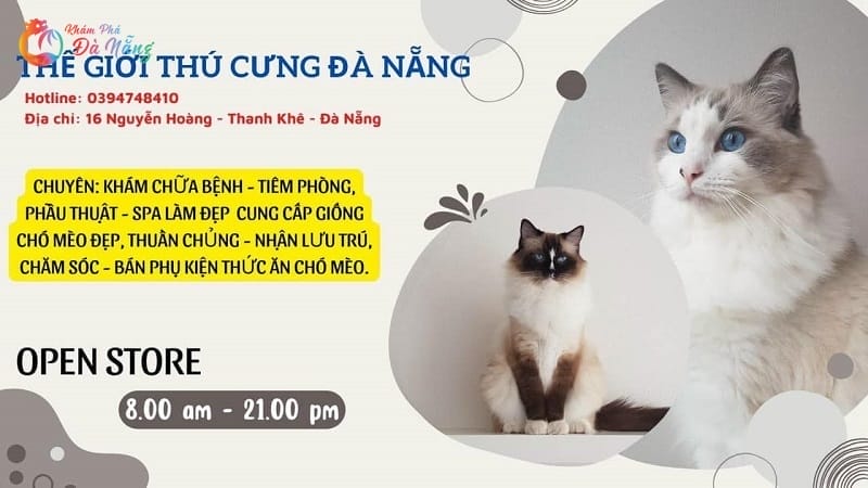 quan mi tuong den da nang