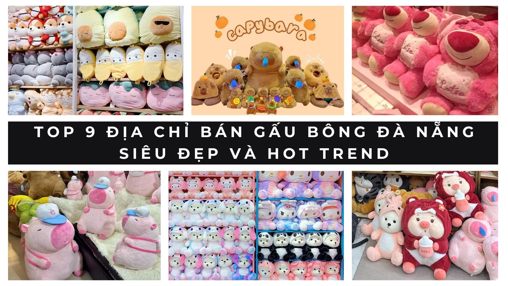 Top 9 địa chỉ bán gấu bông Đà Nẵng siêu đẹp và hot trend