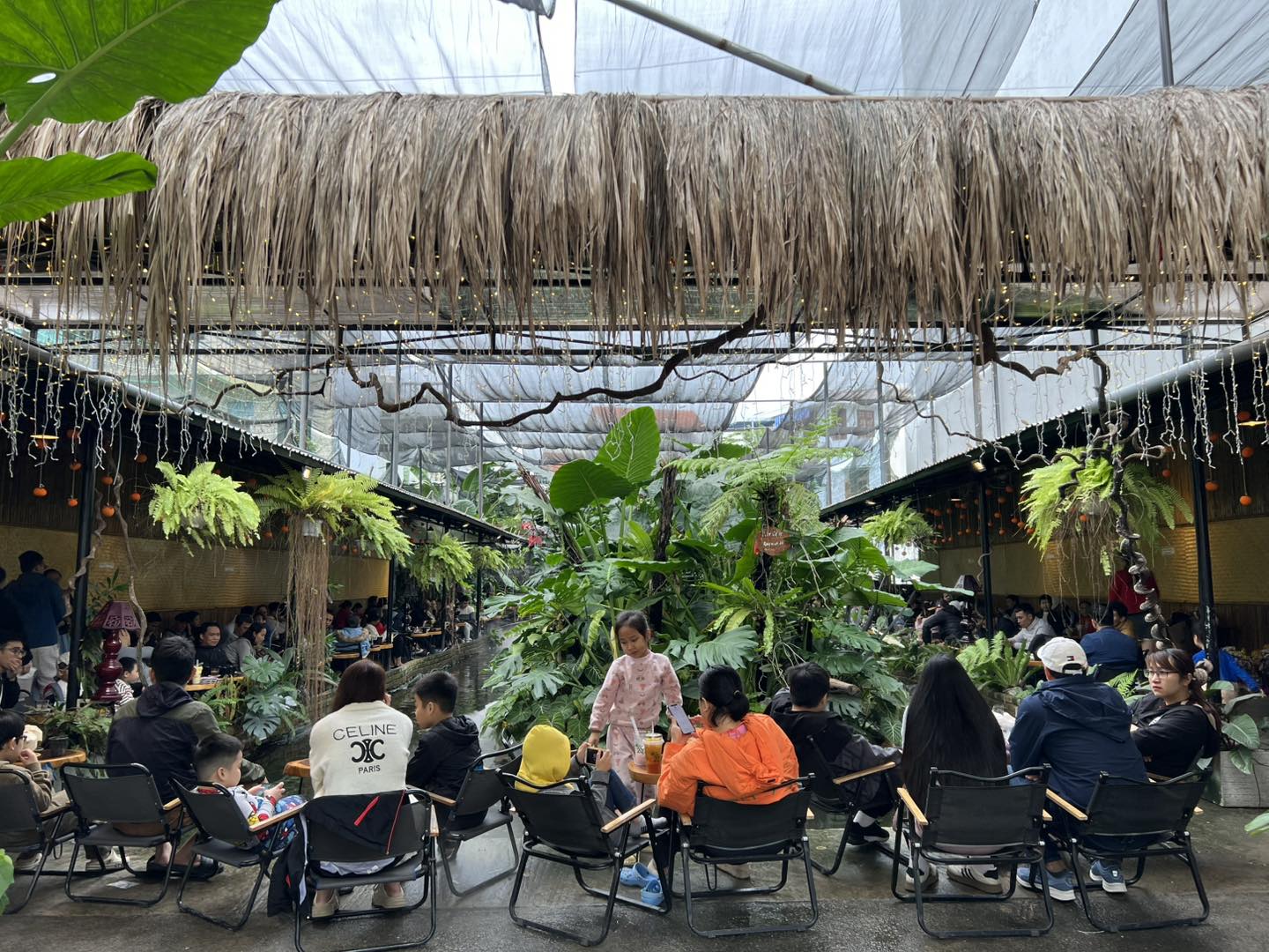 color coffee rung nhiet doi 1