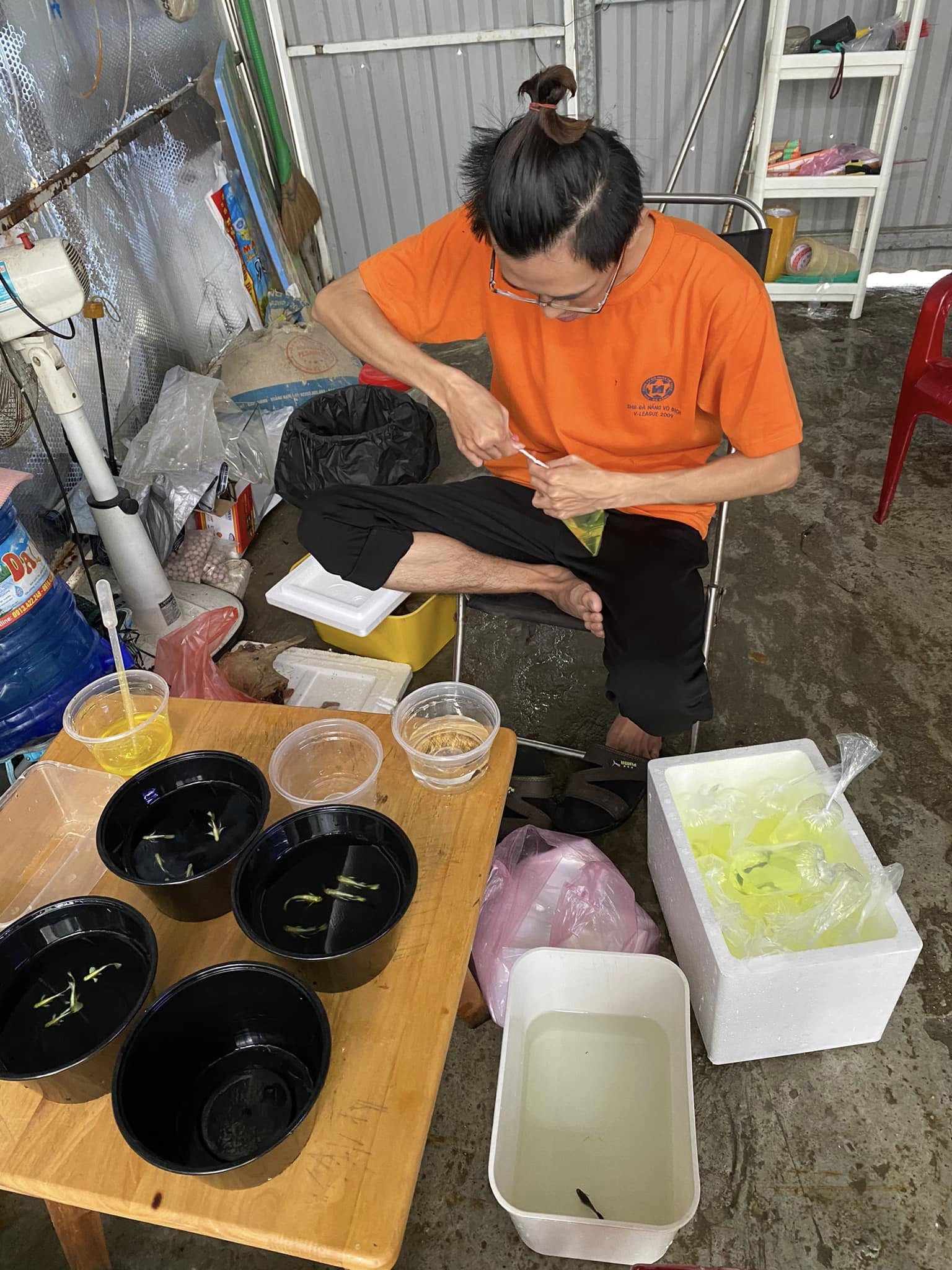 cua hang ca canh ba huy guppy