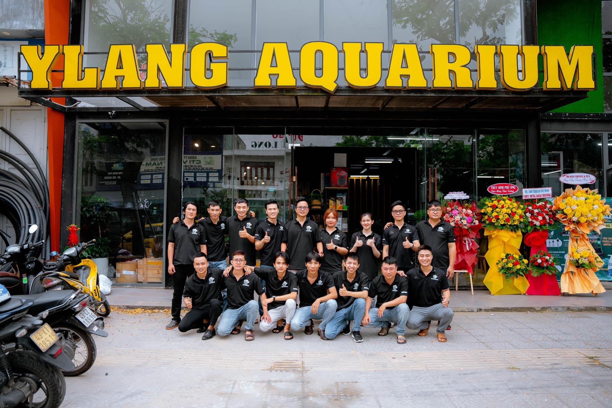 ylang aquarium