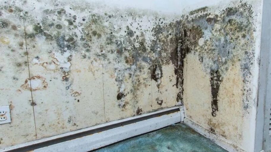 Tấm nhựa ốp tường – Giải pháp chống thấm, thẩm mỹ cao cho mọi không gian sống