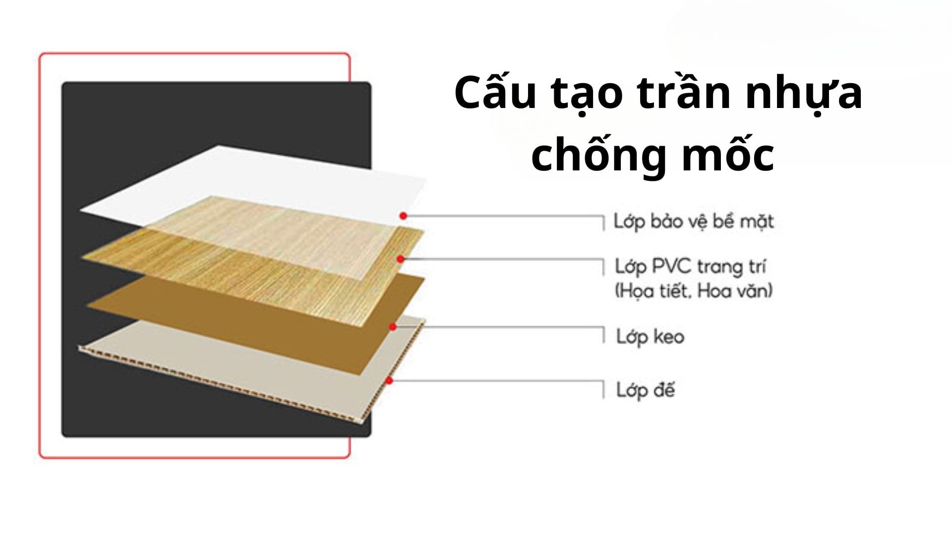  trần nhựa chống mốc 