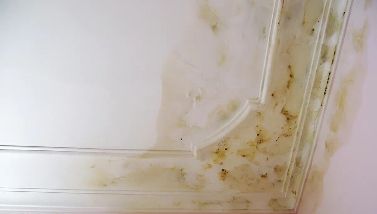 Phương pháp chống thấm cho trần nhựa