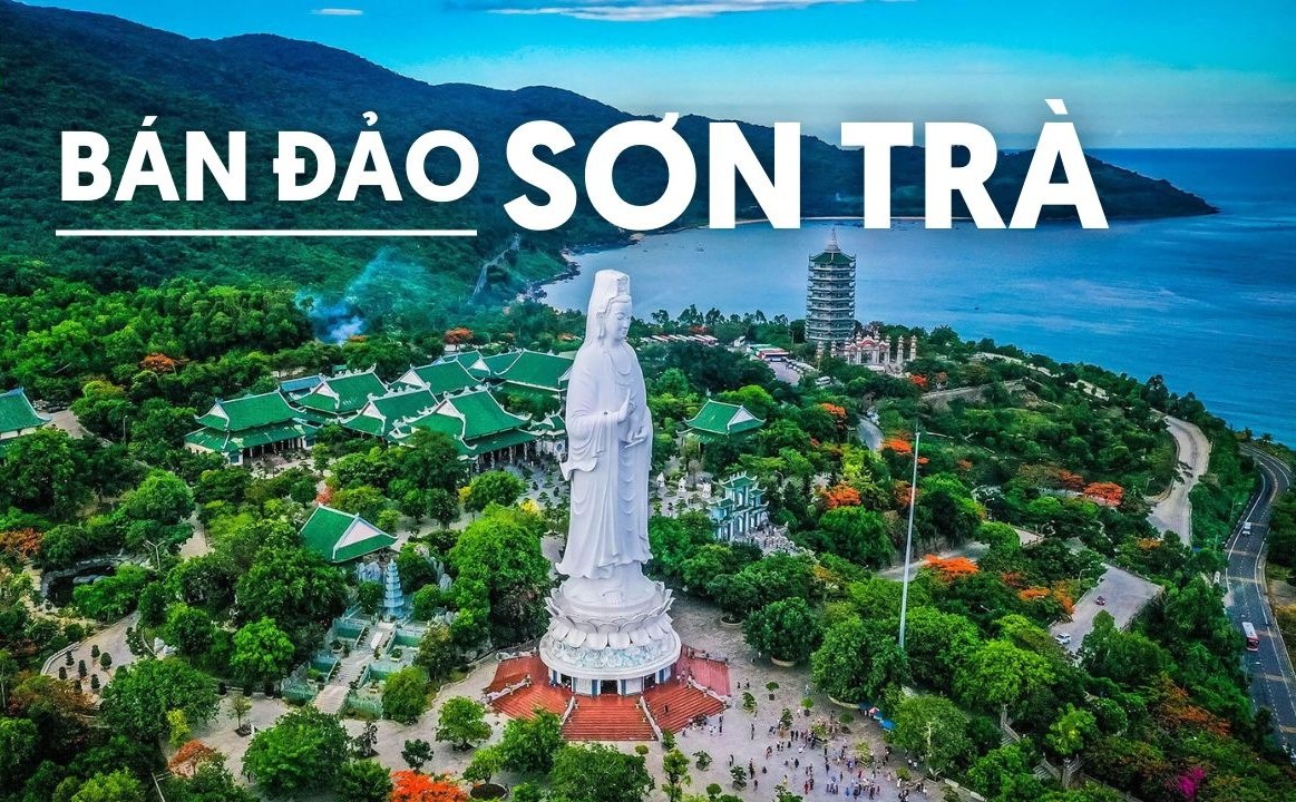 ban dao son tra 1